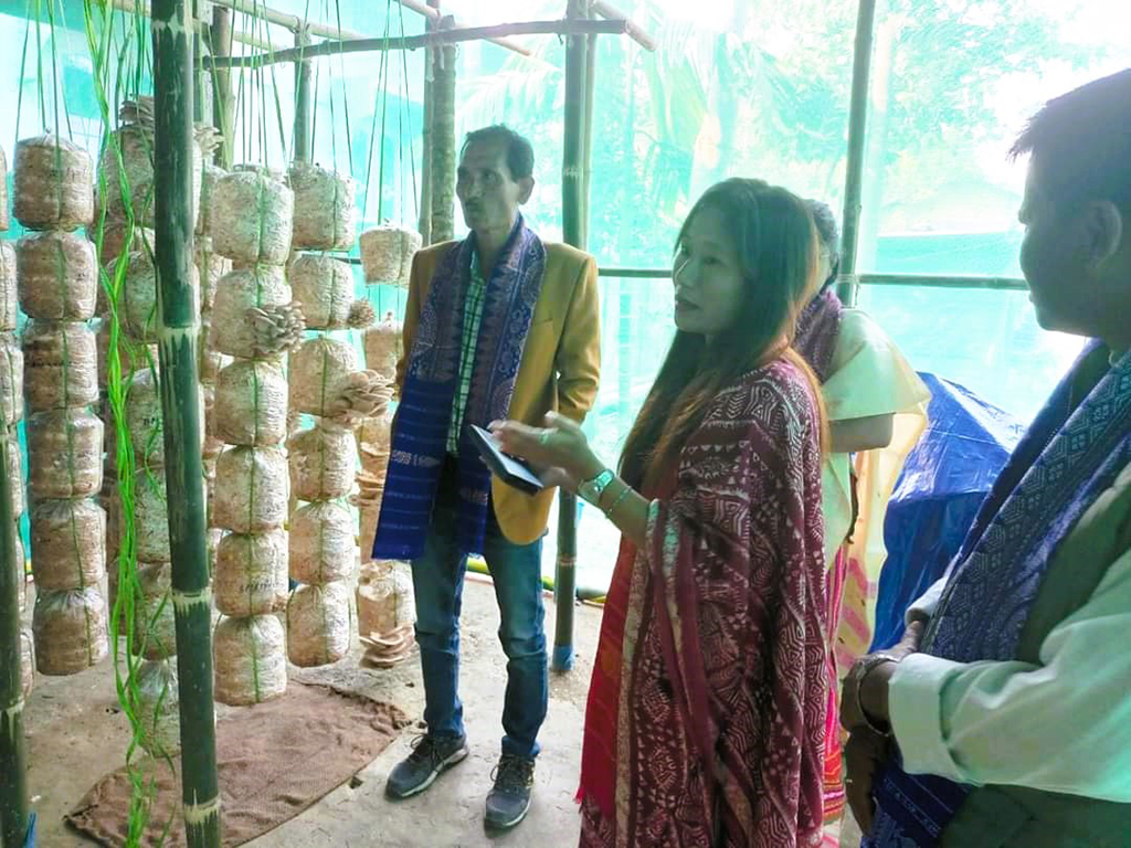 Mushroom Production Unit