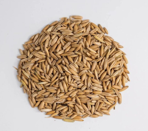 Seed