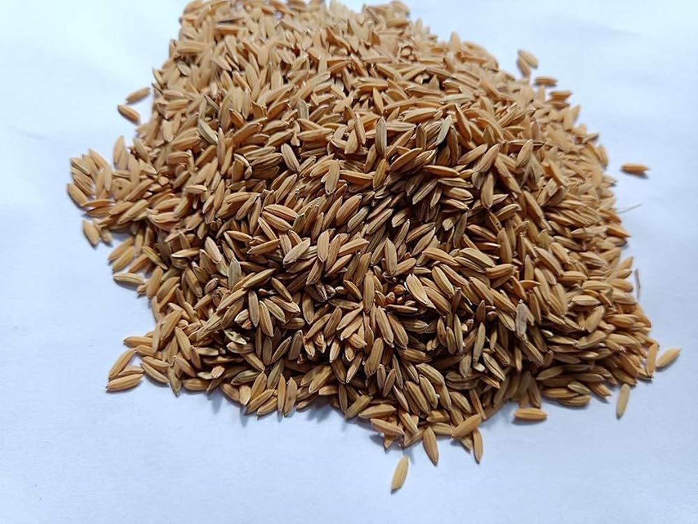 Seed